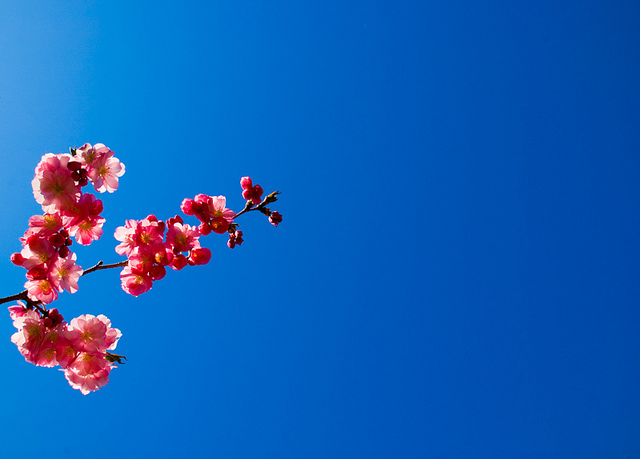 Photo Source: "Blue Skies, Smiling At Me" by EJP Photo @flickr.com